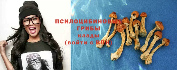 apvp Зерноград