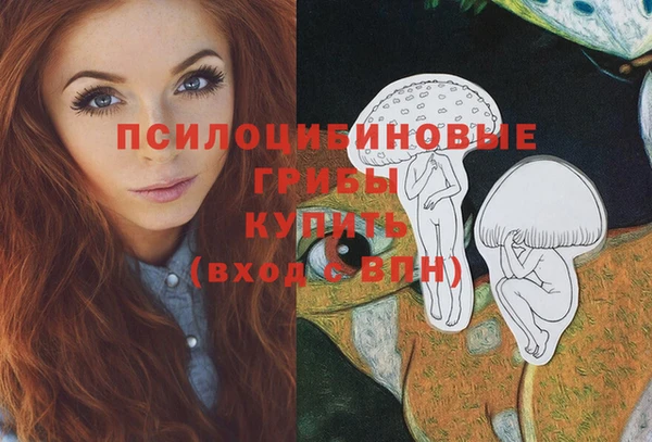 apvp Зерноград