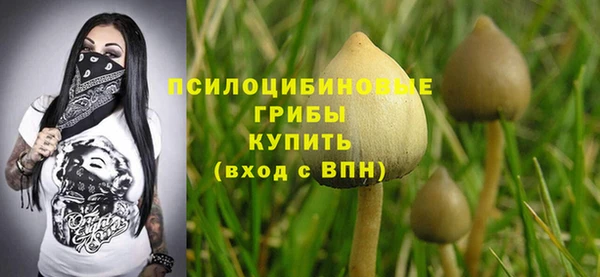 apvp Зерноград