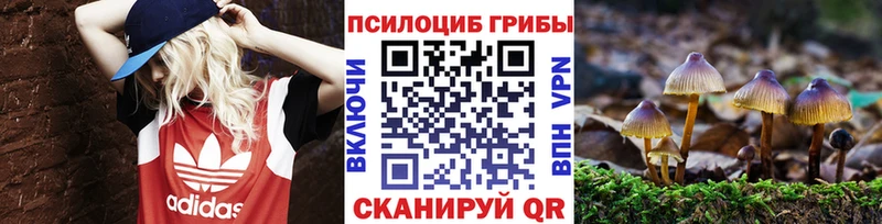 Псилоцибиновые грибы прущие грибы  Купить закладки  Ермолино 